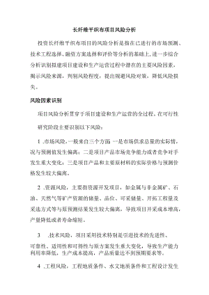 长纤维平织布项目风险分析.docx