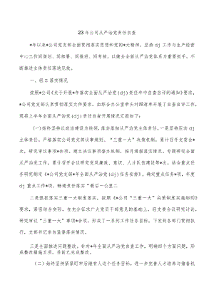 23年公司从严治党责任自查.docx