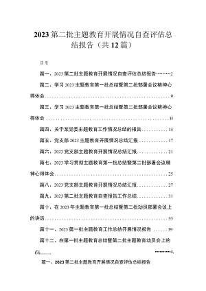 2023第二批主题教育开展情况自查评估总结报告(精选12篇).docx