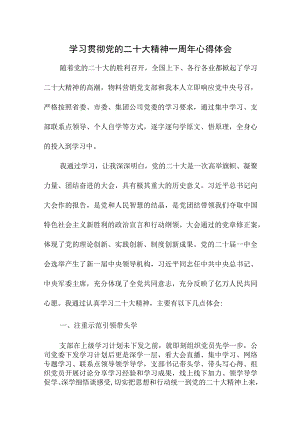 2023年医院纪检干部学习贯彻《党的二十大精神》一周年心得体会.docx