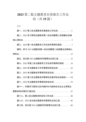 2023第二批主题教育自查报告工作总结（共15篇）.docx