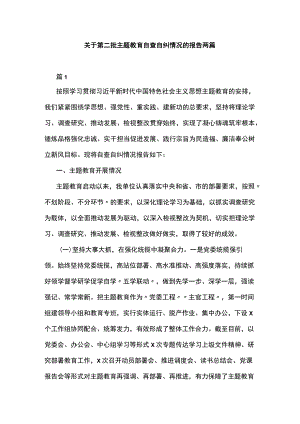 关于第二批主题教育自查自纠情况的报告两篇.docx