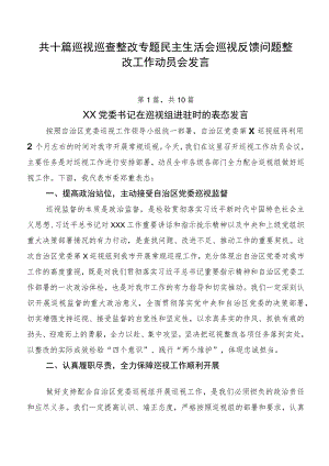 共十篇巡视巡查整改专题民主生活会巡视反馈问题整改工作动员会发言.docx