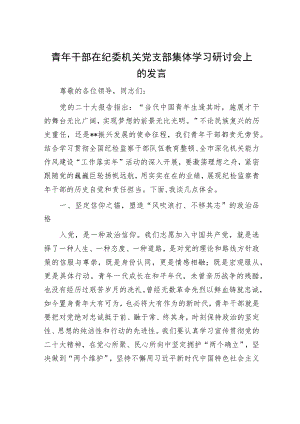 青年干部在纪委机关党支部集体学习研讨会上的发言.docx