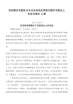 巡视整改专题民主生活会巡视反馈意见整改专题会上的发言稿共10篇.docx