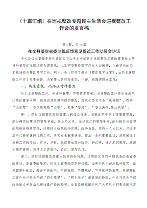 （十篇汇编）在巡视整改专题民主生活会巡视整改工作会的发言稿.docx