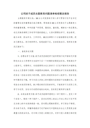 公司班子成员主题教育问题清单检视整改报告.docx