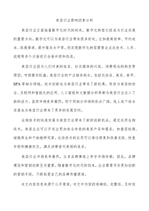 美容行业影响因素分析.docx