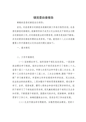 镇党委自查报告.docx
