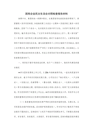 国有企业民主生活会对照检查报告材料.docx
