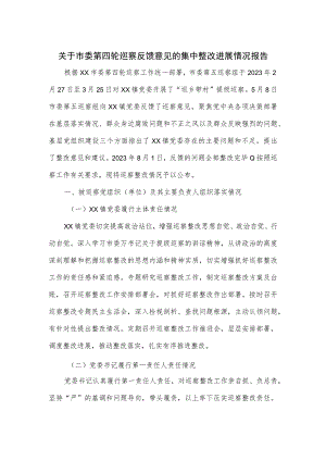 关于市委第四轮巡察反馈意见的集中整改进展情况报告.docx
