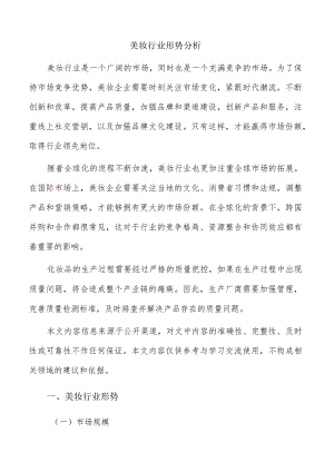 美妆行业形势分析.docx