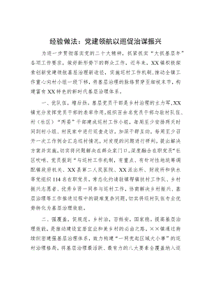 经验做法：党建领航以巡促治谋振兴.docx
