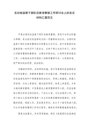 在纪检监察干部队伍教育整顿工作研讨会上的发言材料汇篇范文.docx
