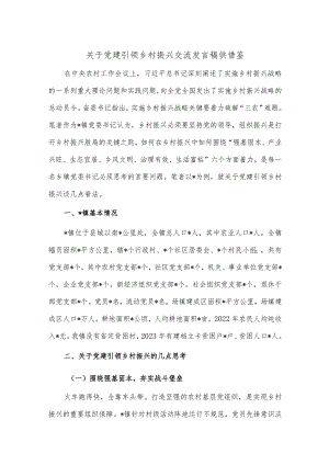 关于党建引领乡村振兴交流发言稿供借鉴.docx