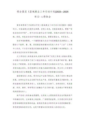 落实《县域商业三年行动计划（2023—2025年）》心得体会感悟.docx