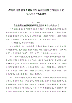 在巡视巡查整改专题民主生活会巡视整改专题会上的表态发言10篇合集.docx