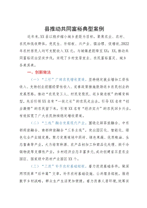 县推动共同富裕典型案例.docx