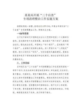 某某局开展“三个自查”专项清理整治工作实施方案.docx