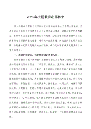 公安民警关于主题教育心得体会研讨发言(九篇).docx