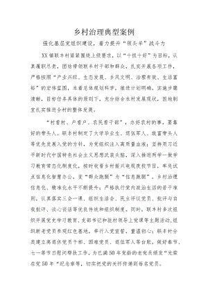 乡村治理典型案例1.docx