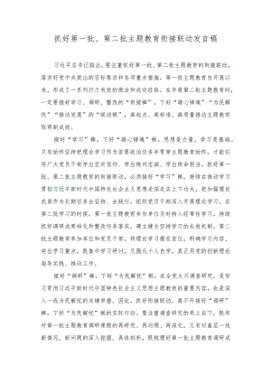 （2篇）抓好第一批、第二批主题教育衔接联动发言稿+在全市学习贯彻2023年主题教育读书班上的交流发言提纲.docx