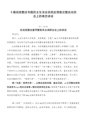 十篇巡视整改专题民主生活会巡视反馈意见整改动员会上的表态讲话.docx