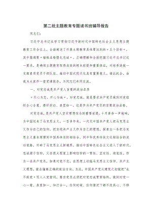 第二批主题教育专题读书班辅导报告.docx