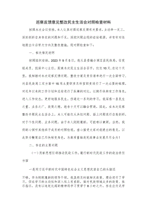 巡察反馈意见整改民主生活会对照检查材料.docx