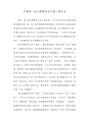 （2篇）2023年10月开展第一批主题教育回头看心得体会.docx