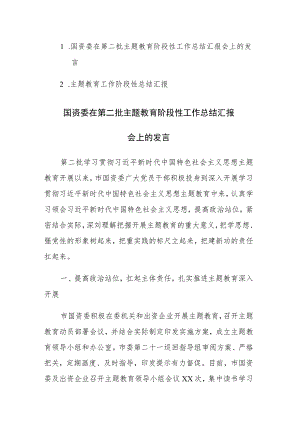 第二批主题教育阶段性工作总结汇报及发言范文2篇.docx