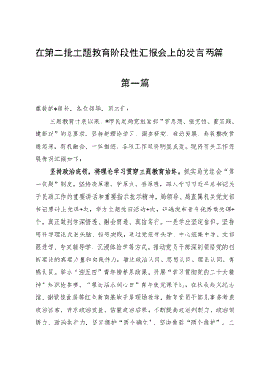 在第二批主题教育阶段性汇报会上的发言两篇.docx