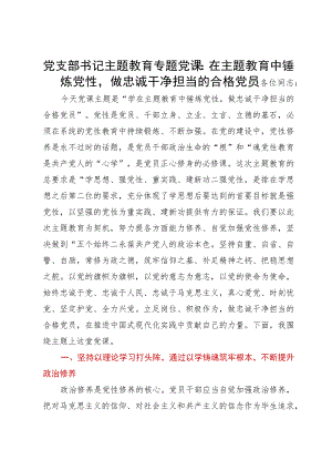 党支部书记主题教育专题党课：在主题教育中锤炼党性做忠诚干净担当的合格党员.docx