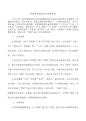 两新组织典型亮点经验做法.docx