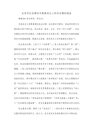 在党员队伍建设专题推进会上的发言稿供借鉴.docx
