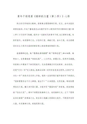青年干部观看《榜样的力量（第二季）》心得.docx