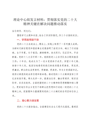 理论中心组发言材料：贯彻落实党的二十大精神 关键在解决问题推动落实.docx