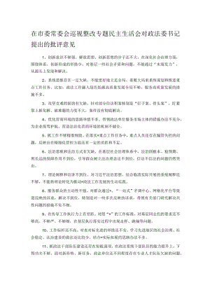 在市委常委会巡视整改专题民主生活会对政法委书记提出的批评意见.docx