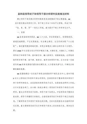 县科级领导班子和领导干部分析研判实施做法材料.docx