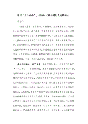 牢记“三个务必”担当时代重任研讨发言稿范文.docx