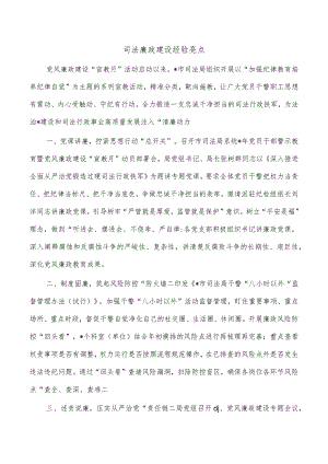 司法廉政建设经验亮点.docx