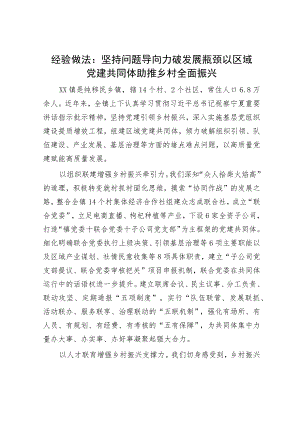 经验做法：坚持问题导向 力破发展瓶颈 以区域党建共同体助推乡村全面振兴.docx