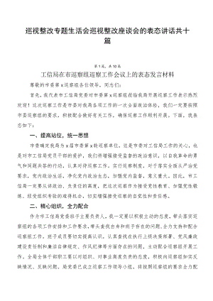 巡视整改专题生活会巡视整改座谈会的表态讲话共十篇.docx
