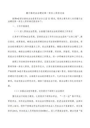 履行推进法治建设第一责任人职责总结.docx