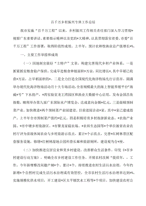 百千万乡村振兴专班工作总结.docx