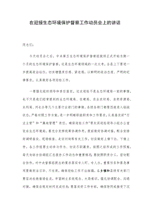 在迎接生态环境保护督察工作动员会上的讲话.docx