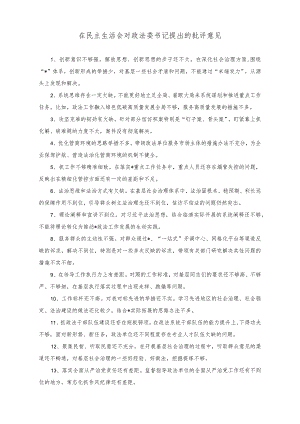 （2篇）在民主生活会对政法委书记提出的批评意见+乡村振兴视域下青年人才队伍建设路径探索.docx