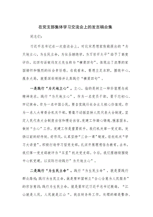 在党支部集体学习交流会上的发言稿合集.docx