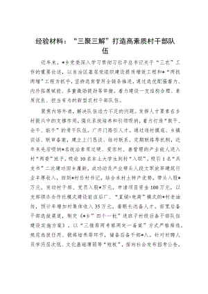 经验材料：“三聚三解”打造高素质村干部队伍.docx
