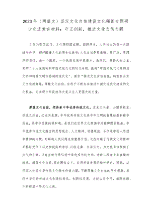 2023年（两篇文）坚定文化自信建设文化强国专题研讨交流发言材料：守正创新推进文化自信自强.docx